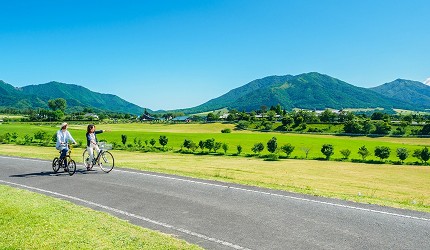 日本山陽山陰岡山自駕租車推薦「TOYOTA Rent a Car」,開車去「蒜山高原」遊玩