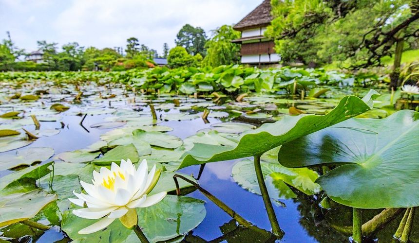 有小京都之稱的日本岡山縣「津山市」