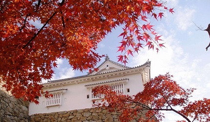 日本岡山縣津山市的津山城(鶴山公園)紅葉季節
