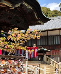 日本岡山離直島最近的溫泉飯店:「瀨戶內鑽石濱海飯店」可到由加神社旅遊"