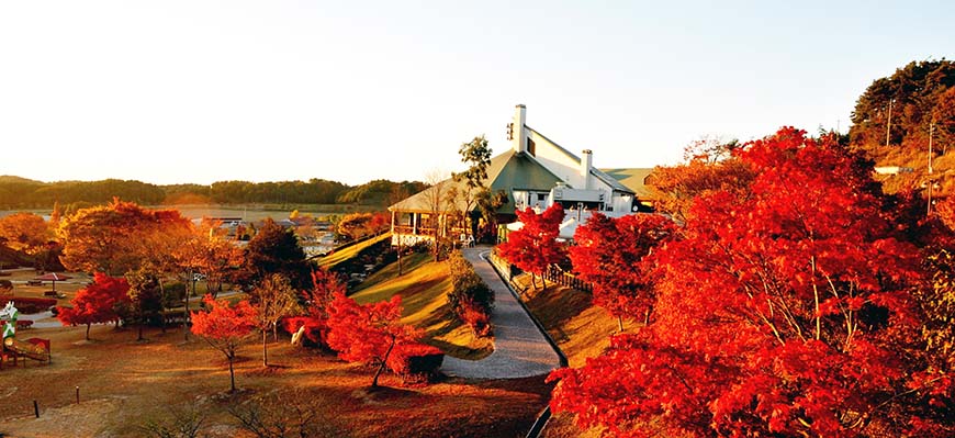 漫遊絕美花海、棚田絕景,追隨福山雅治的腳步玩日本岡山「美咲町」