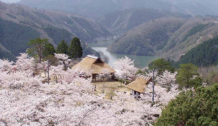 日本岡山「美咲町」的「三休公園」