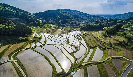 日本冈山「美咲町」的「大垪和西棚田」绝景