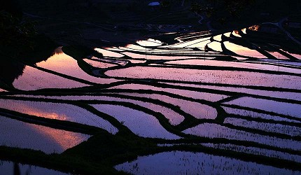 日本冈山「美咲町」的「大垪和西棚田」绝景