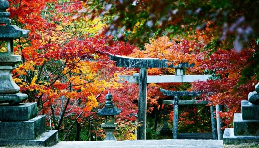 府中八幡神社是「備後地區」的紅葉名所之一